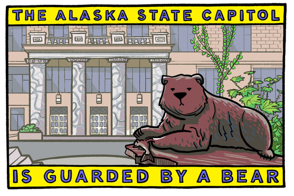 Capitol Bear Postcard