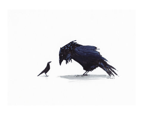 Raven & Crow